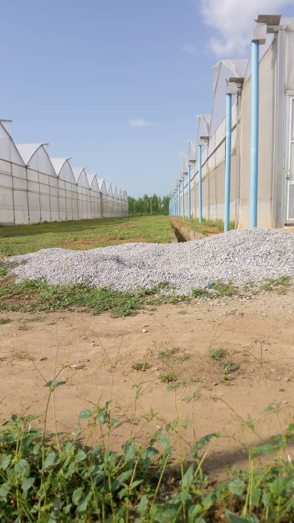the greenhouse site